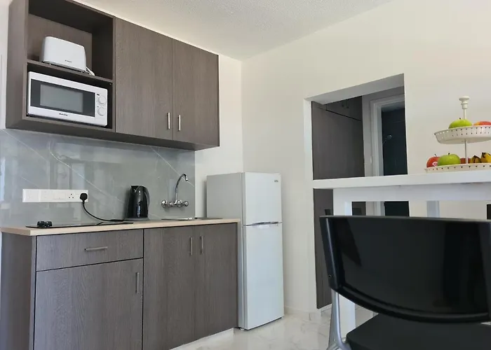 Fotoxenia Luxury Apts *